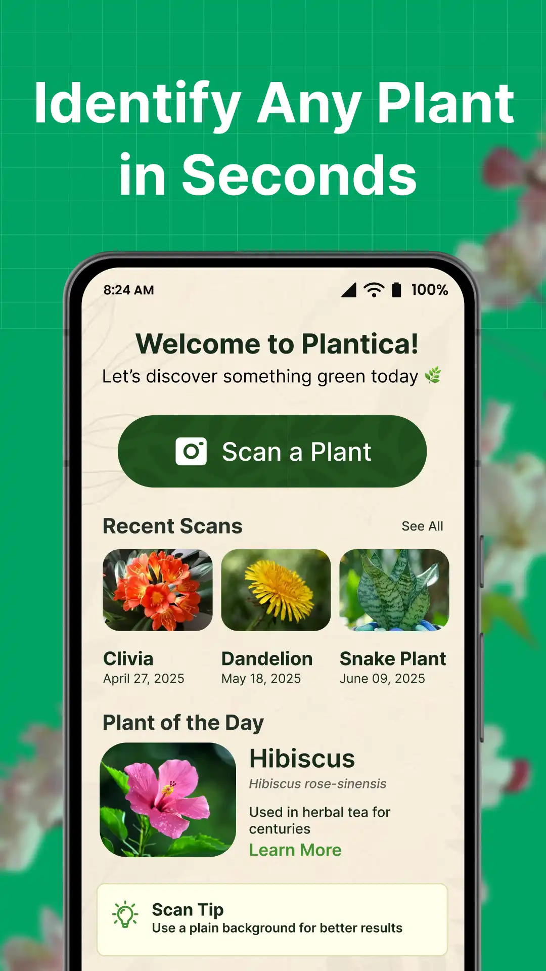 02 Plantica mobile app home screen with recent plant scans and Scan a Plant button – created by Ameer Hamza Amin, Funzoft AI Plant Identifier App