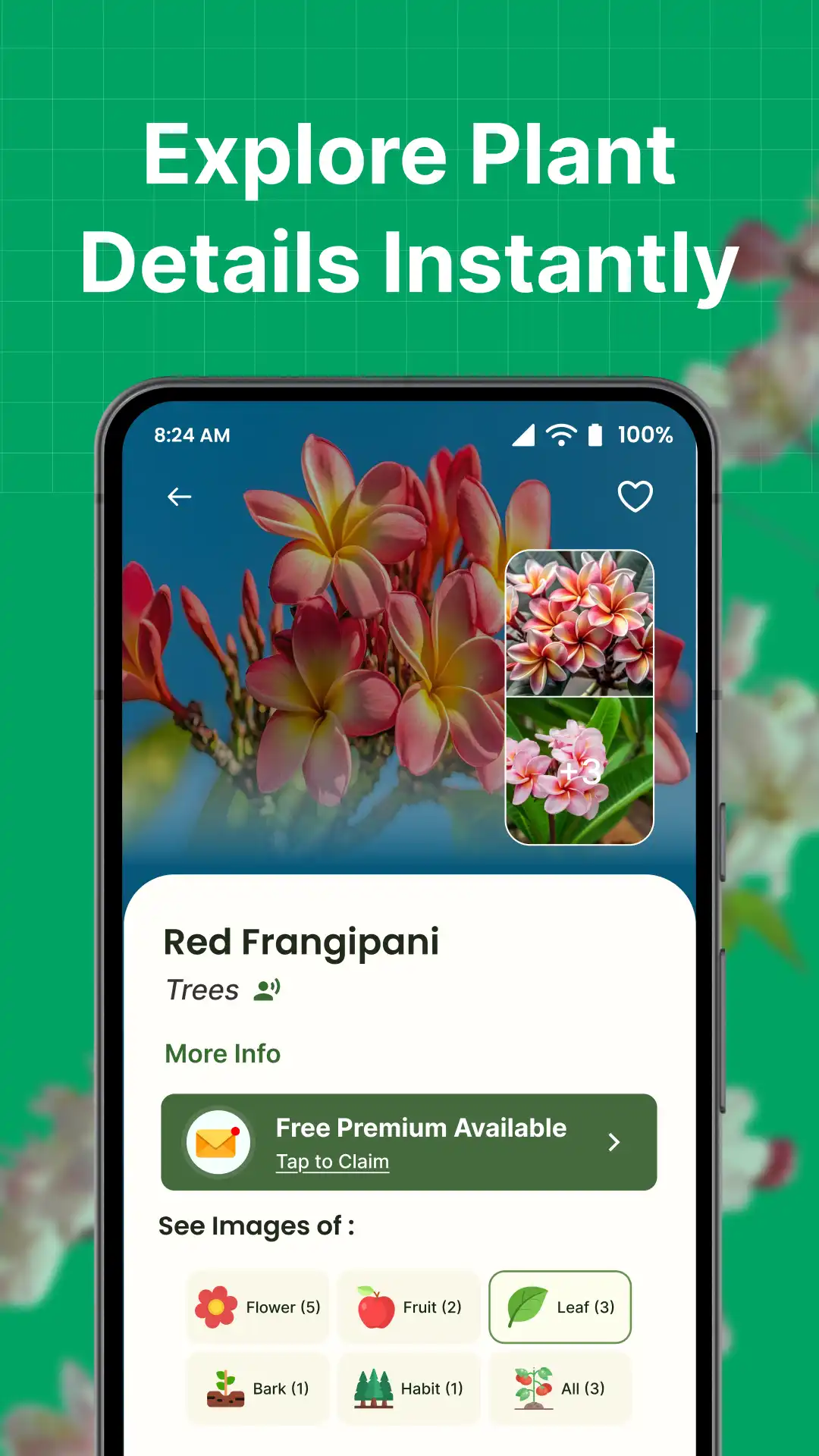 03 Explore plant species details including images of flower, leaf, bark using Plantica app by Funzoft – UX by Ameer Hamza Amin AI Plant Identifier App