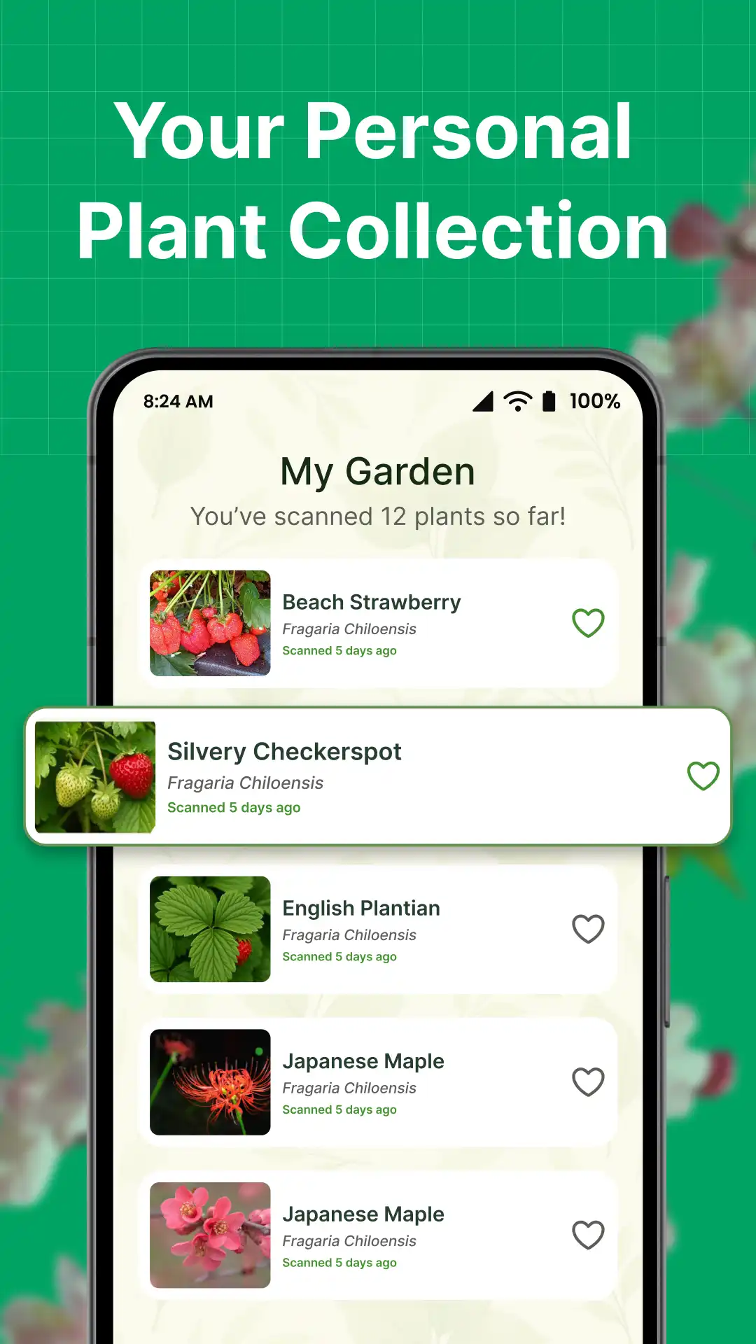 06 My Garden feature showing personal plant collection in Plantica app by Funzoft, designed by Ameer Hamza Amin AI Plant Identifier App
